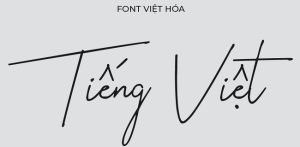 font svn việt hóa
