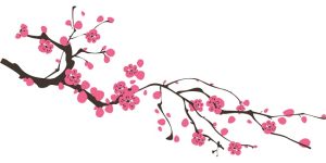 cành đào vector